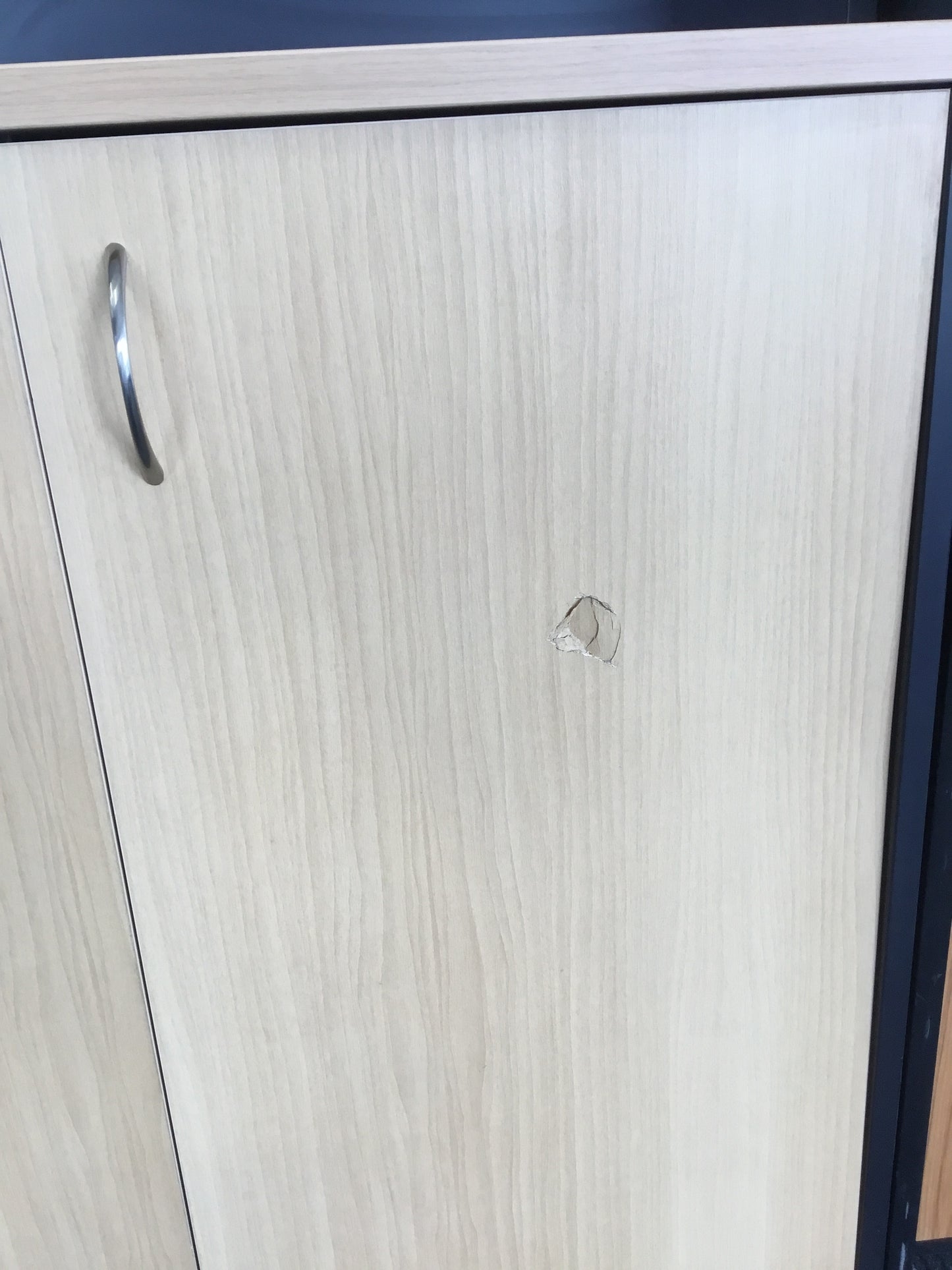 Large Woodgrain Storage Shelf