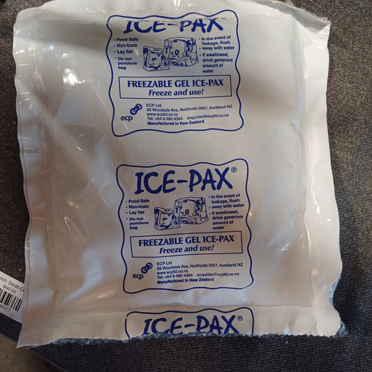 Freezable ice pax