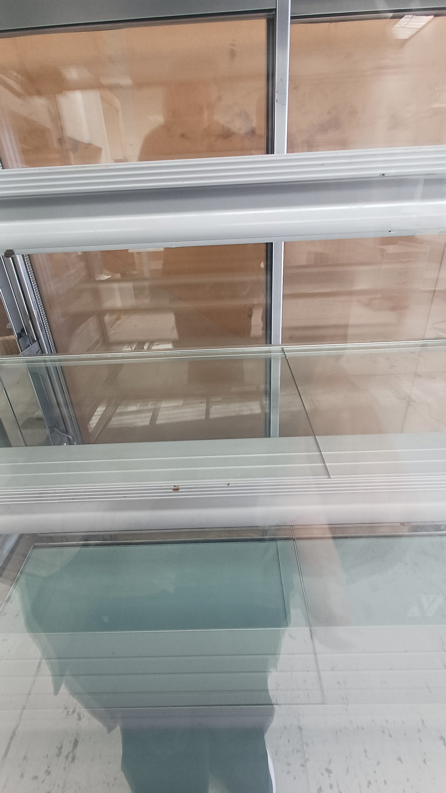 Kingdom - Food display cabinet